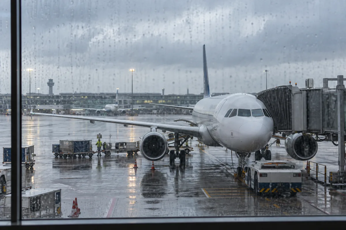 Extraordinary Circumstances: Flight Delay Examples and Evidence